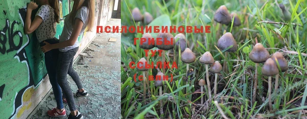 ALPHA-PVP Заводоуковск