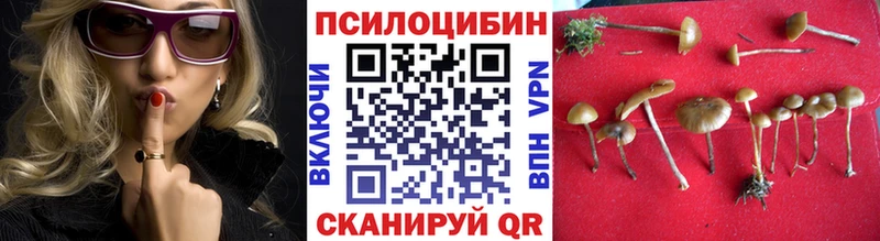 Галлюциногенные грибы MAGIC MUSHROOMS Качканар