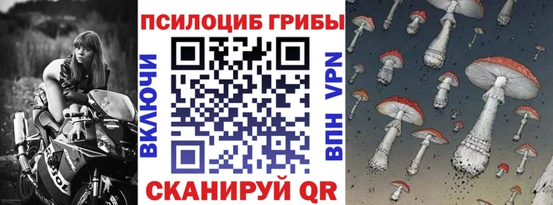 Купить закладки  Качканар  Псилоцибиновые грибы Cubensis 