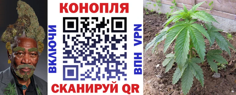 Купить закладки  Качканар  Шишки марихуана тримм 